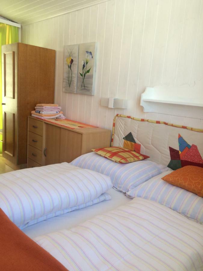 פלאכאו Ferienwohnung Salchegger מראה חיצוני תמונה
